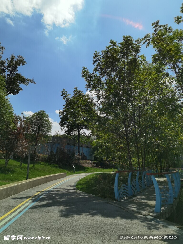 绿树环绕的宁静街道