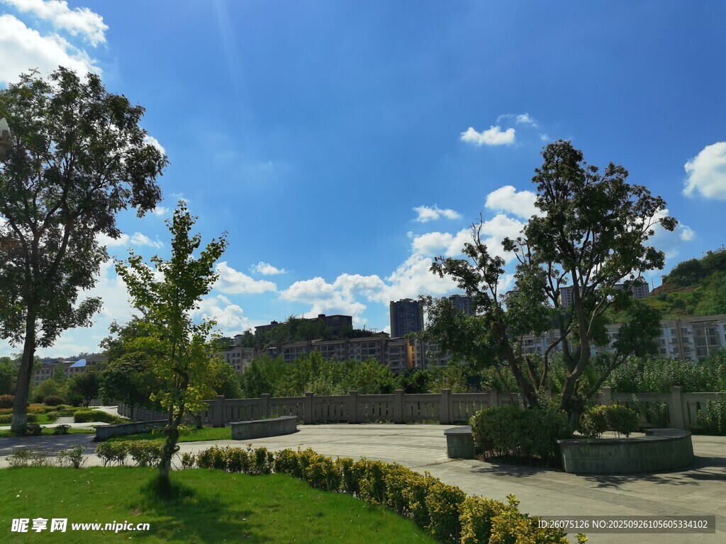 美丽户外公园景观