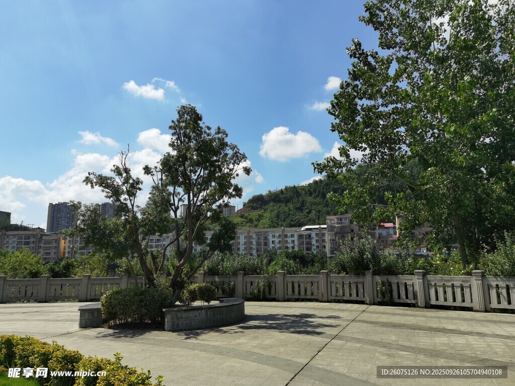 户外开阔的绿植景观空间