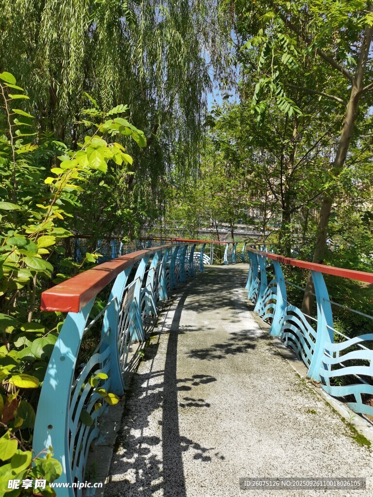 林间蓝桥绿意盎然的景致