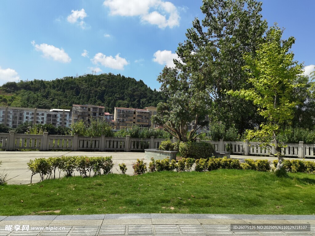 城市公园绿地美景