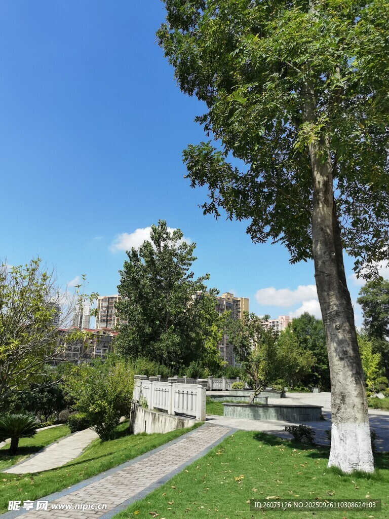 公园绿意盎然的休闲景致