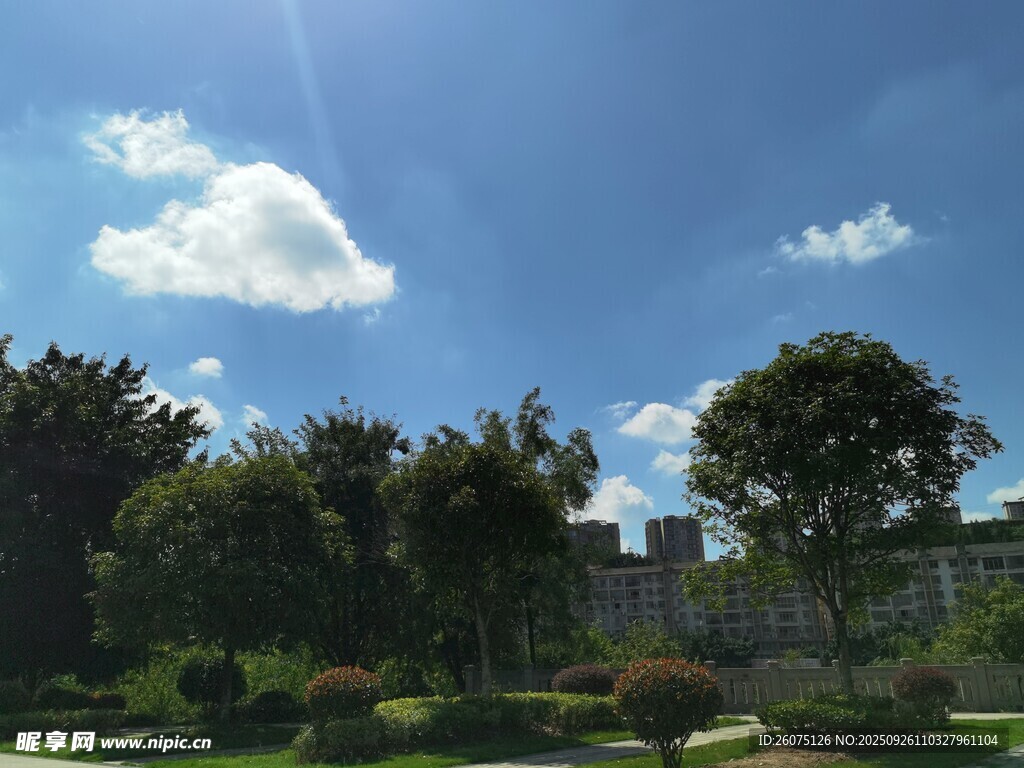 晴朗校园风景