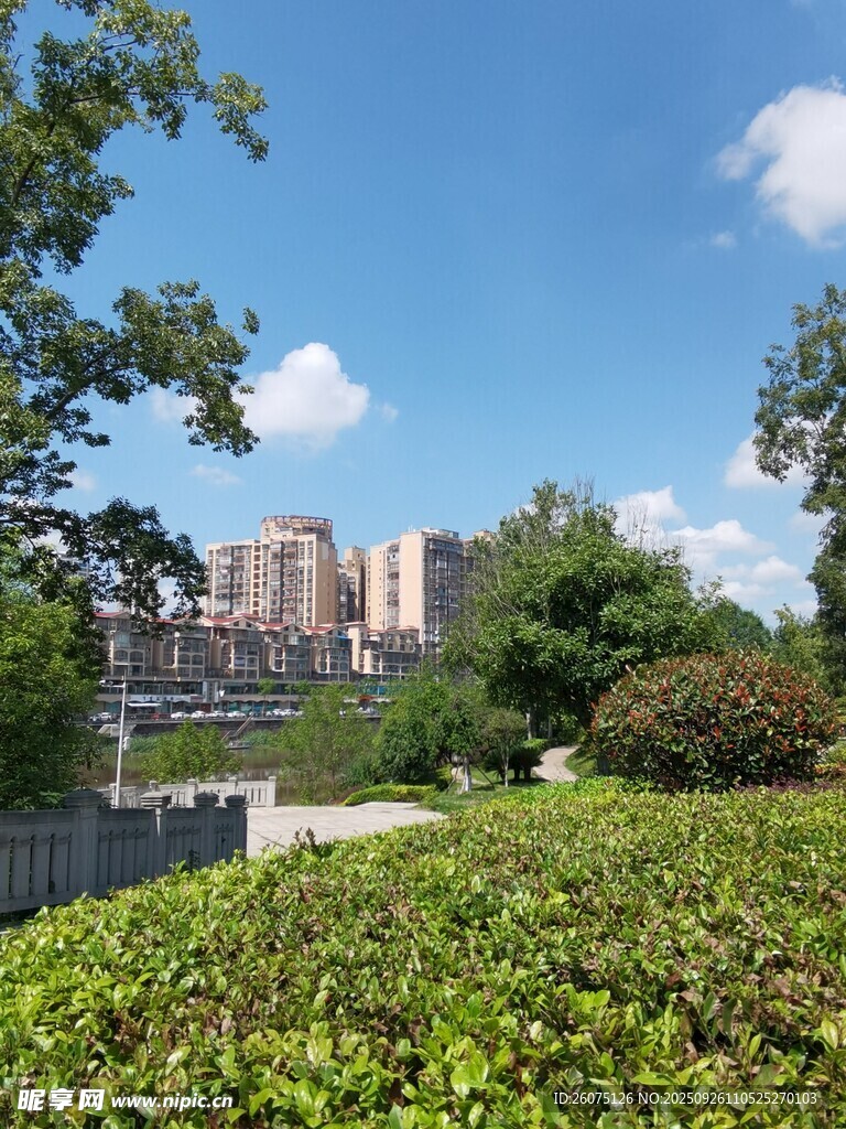 城市中的绿意景观