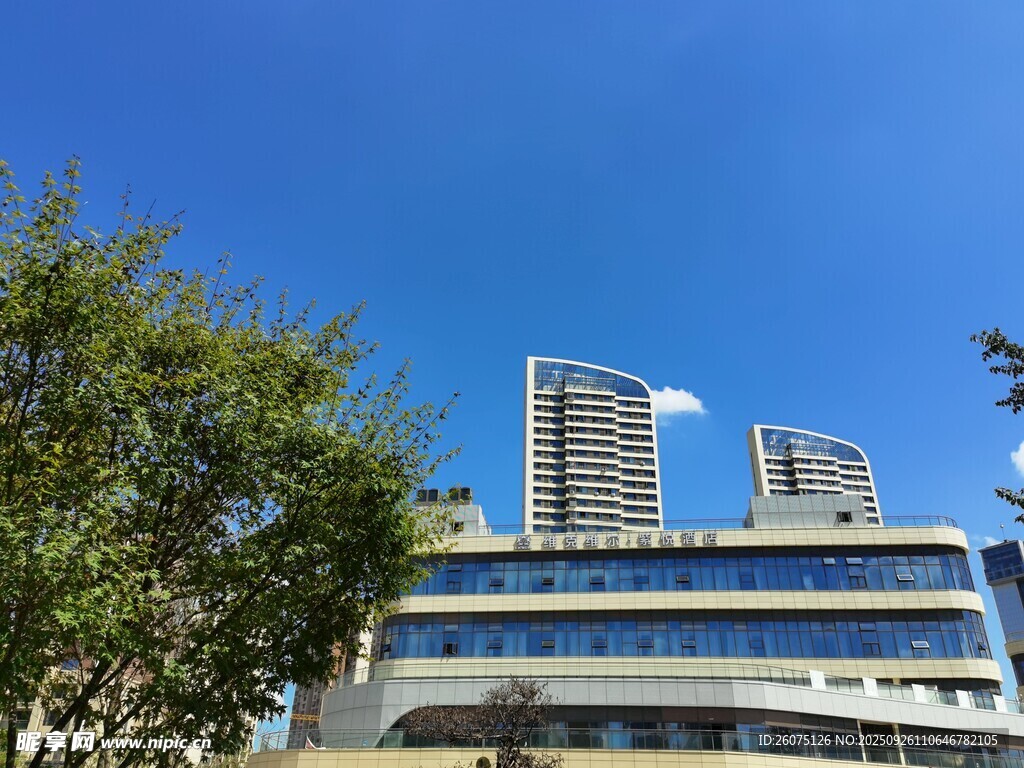 蓝天绿树旁的几何建筑
