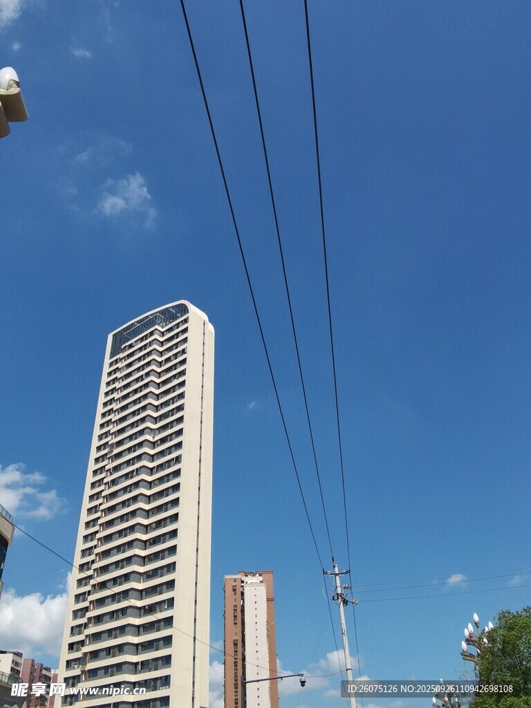 城市高楼与蓝天电线景观