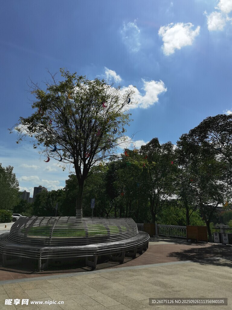 户外休闲场景中的宁静角落