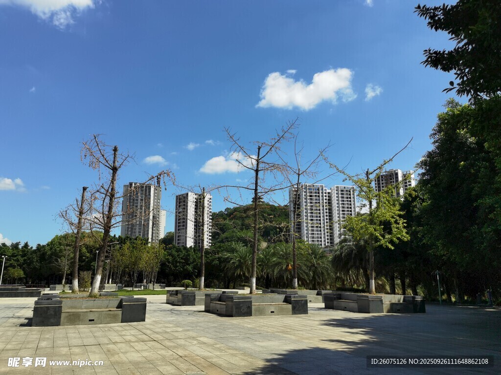 城市公园中的开阔景致