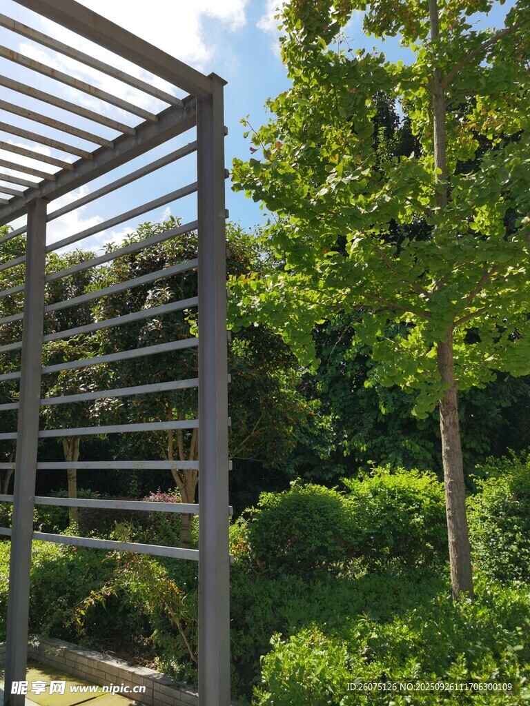 户外金属凉亭与绿植景观