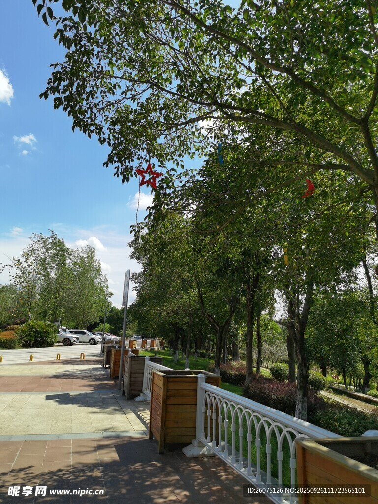 林荫下的户外休闲场景