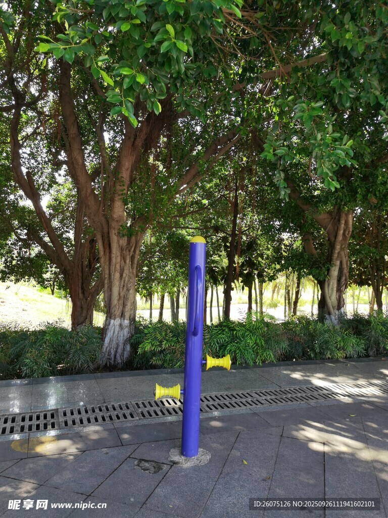 公园中的蓝色健身器材