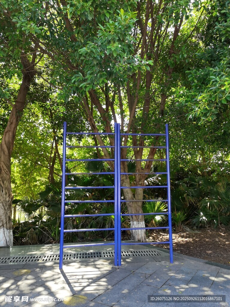 户外蓝色健身器材架