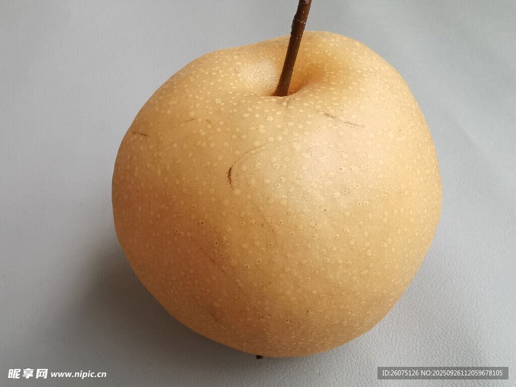 黄皮梨特写