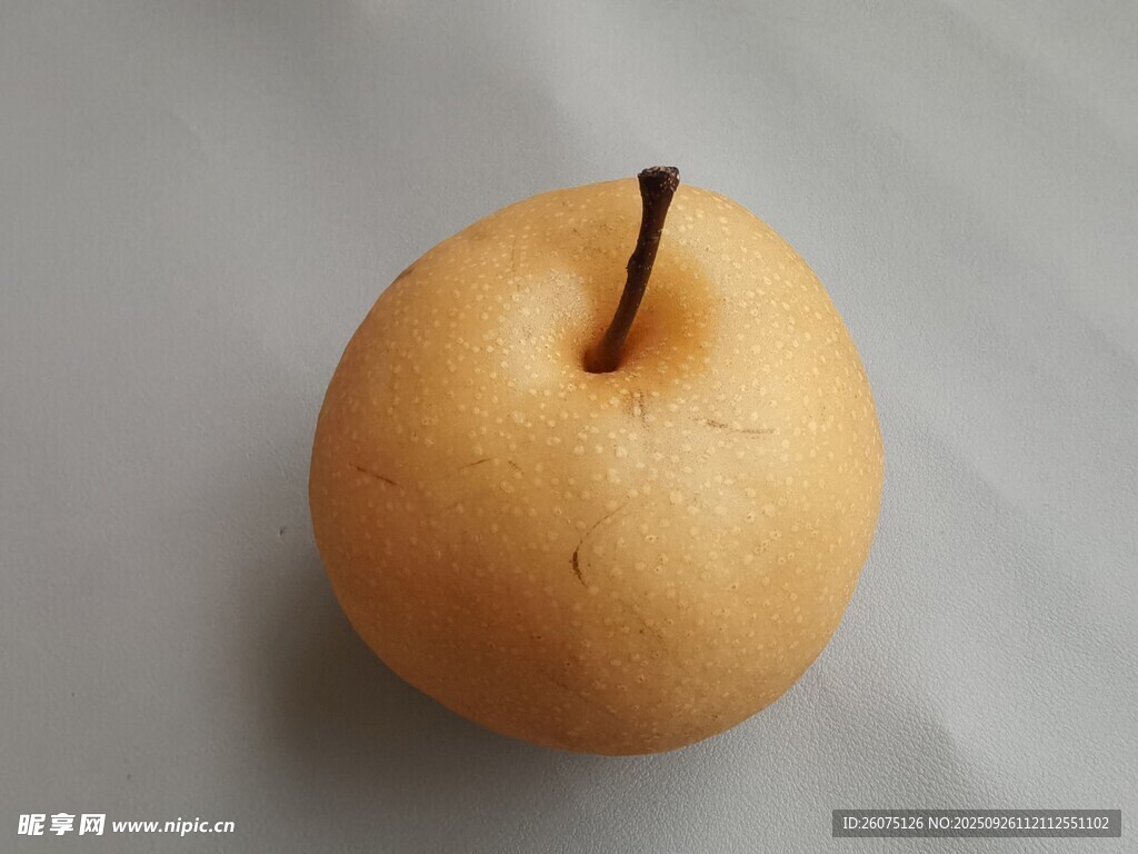黄皮梨子特写