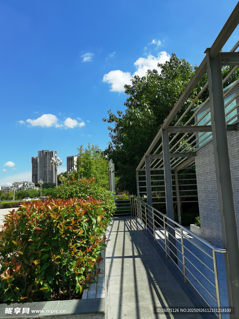 户外露台绿植蓝天景致