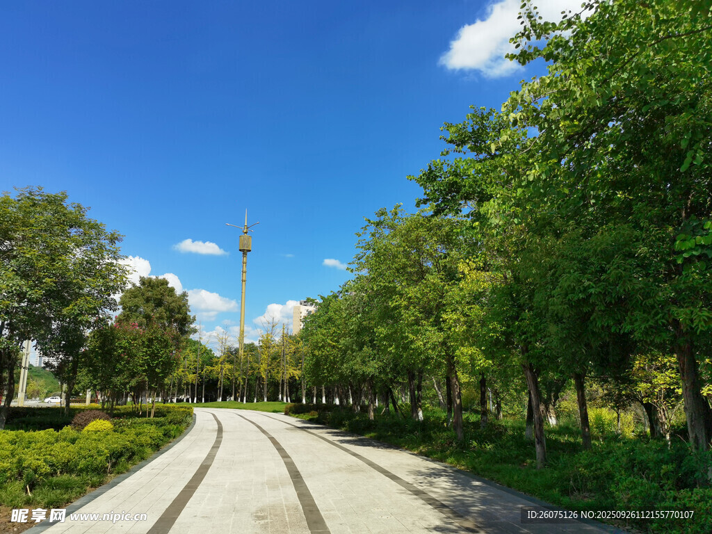 林间宽阔道路蓝天绿树景