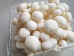 盒装白玉菇特写