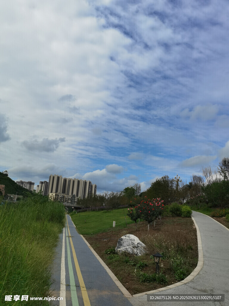 城市中的自然小径景观