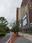 城市街道旁高楼与绿化景观