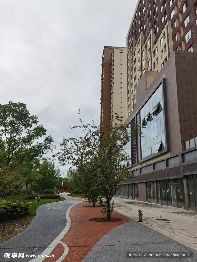 城市街道旁高楼与绿化景观
