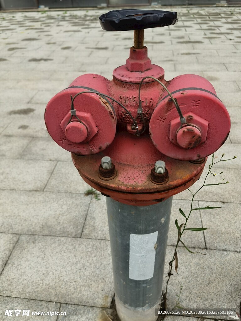 红色消防栓特写