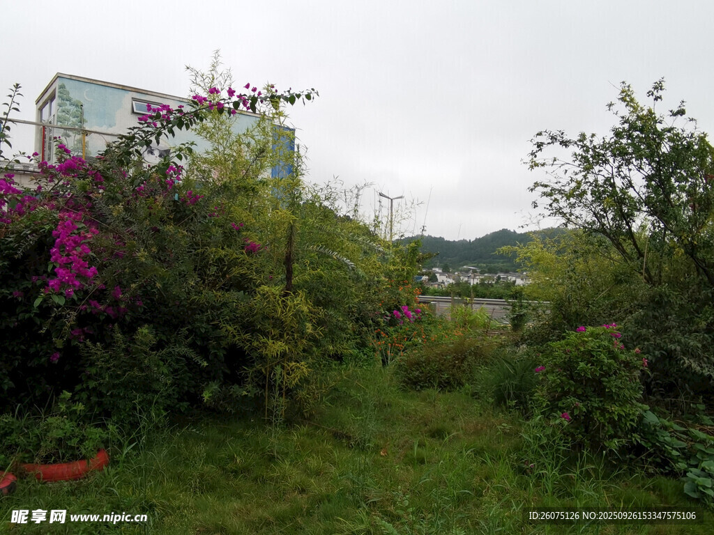 山间绿植繁花中的小屋