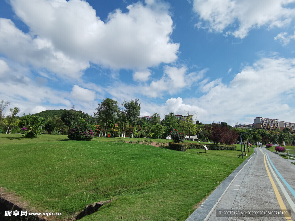 郊外绿意盎然的开阔风景
