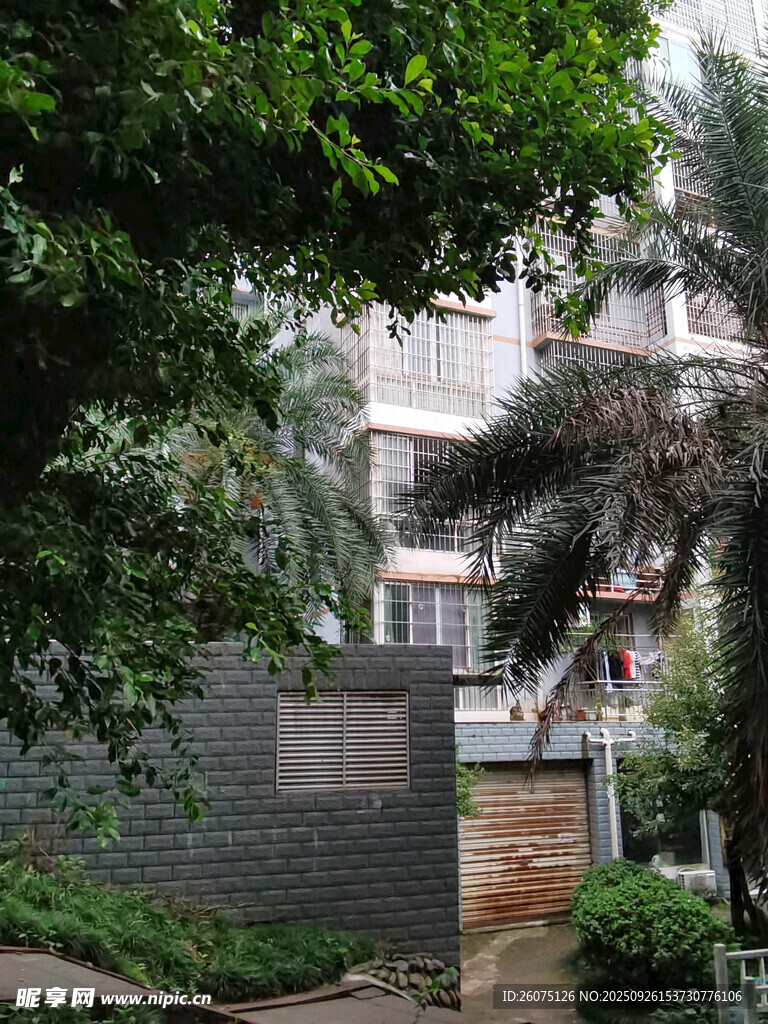 绿树环绕的建筑景观