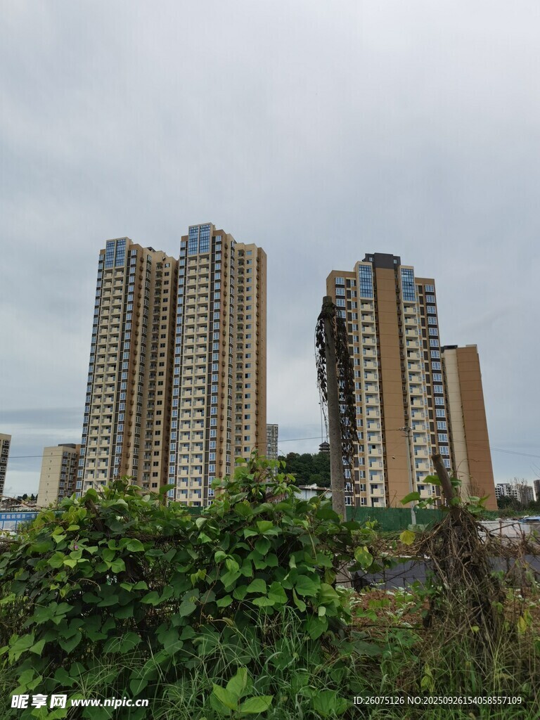 城市高楼与绿植景观