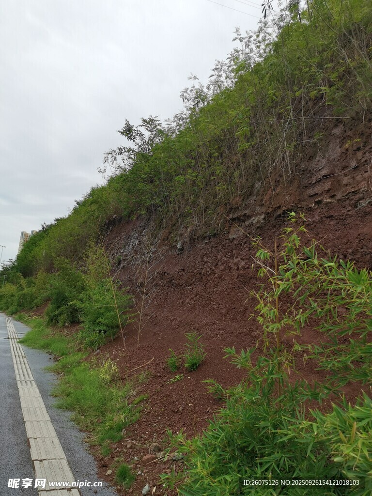 山坡边的绿植与红土
