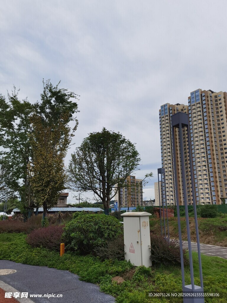 城市道路旁的高楼与绿植