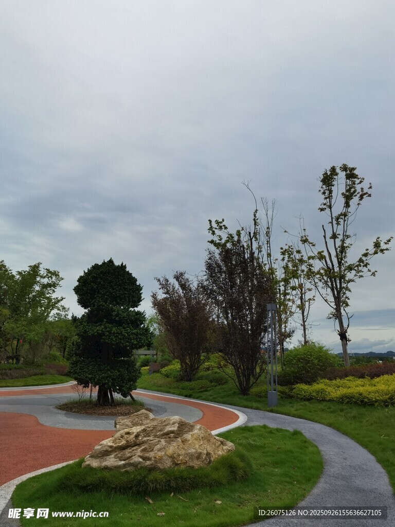 公园小径旁的绿植景观