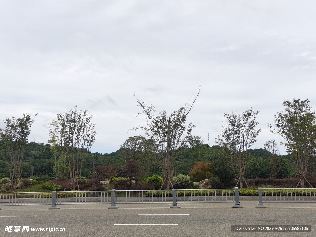 空旷户外停车场及周边树木