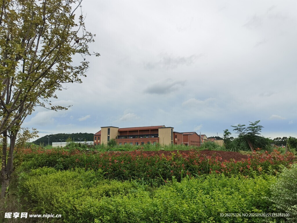 田野边的红顶建筑