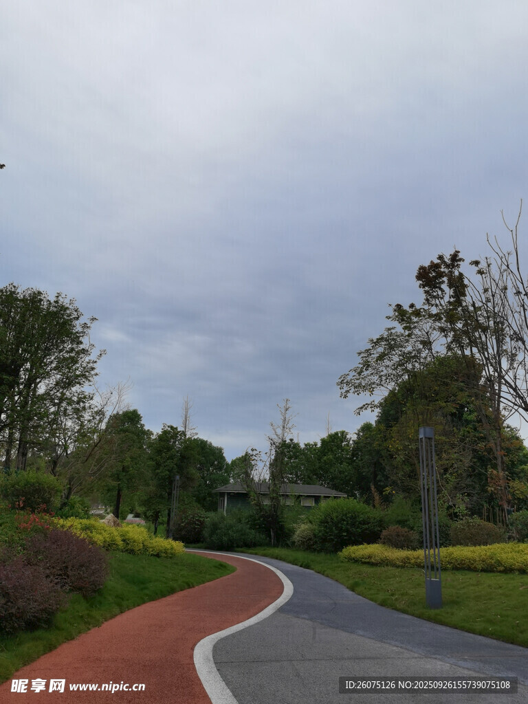 蜿蜒彩道旁的葱郁景致