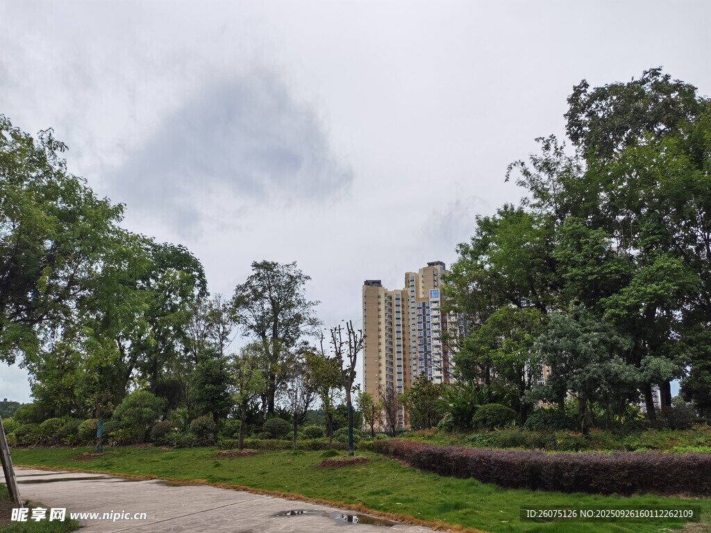 城市公园中的绿树与建筑