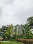 城市中绿树环绕的高层住宅