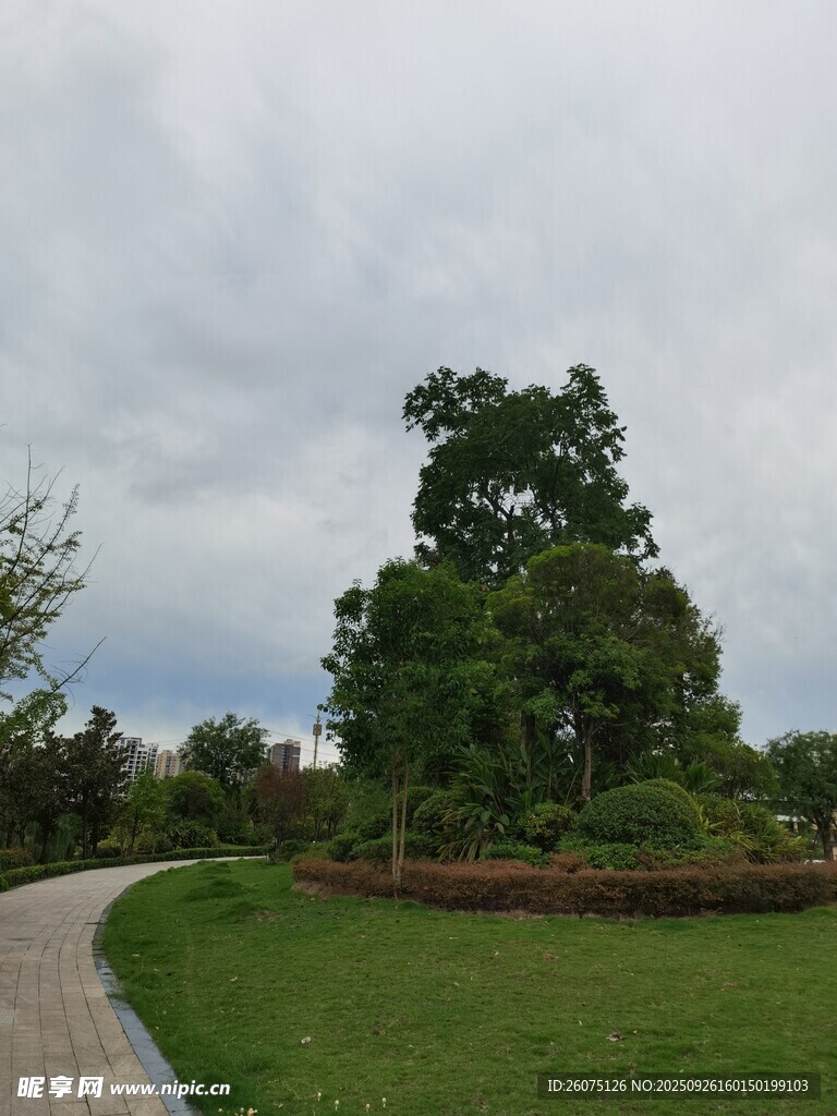 蜿蜒小径旁的葱郁景致