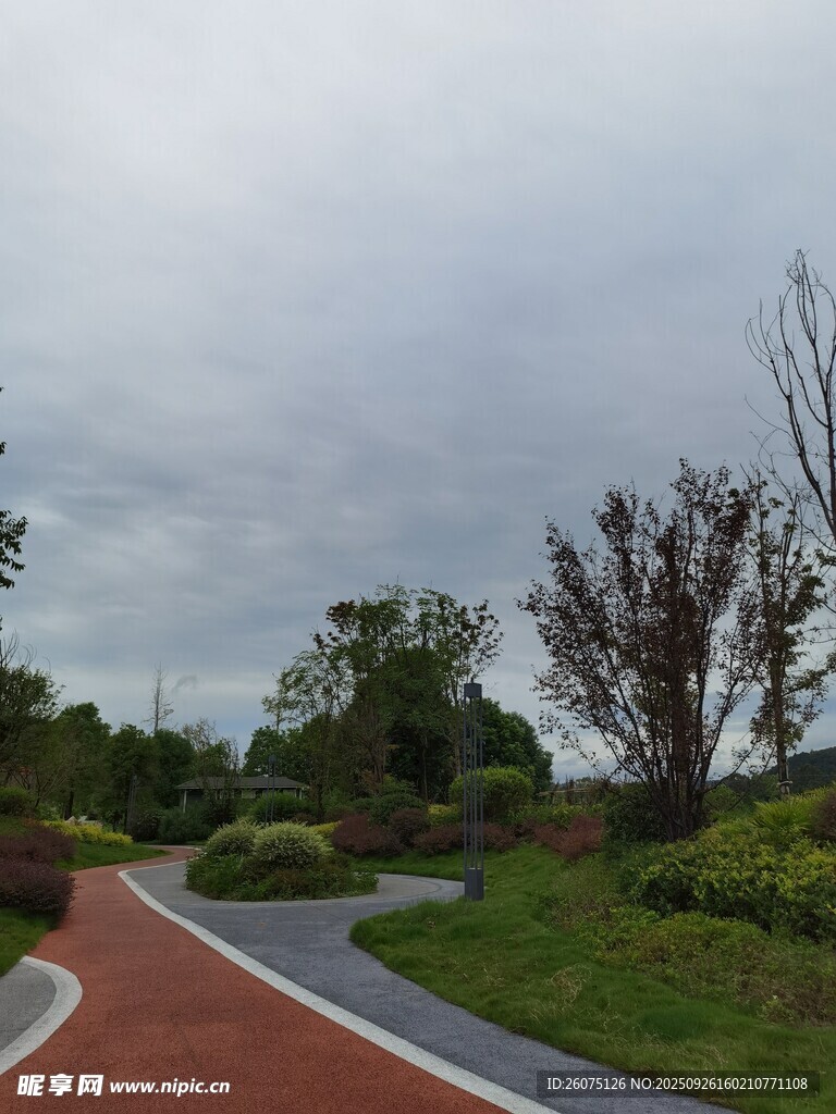 蜿蜒小径旁的园林景致