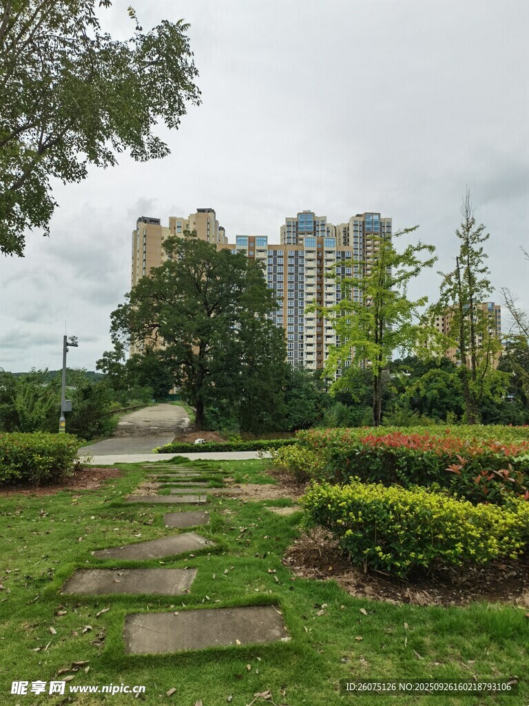 城市中静谧的绿地景观