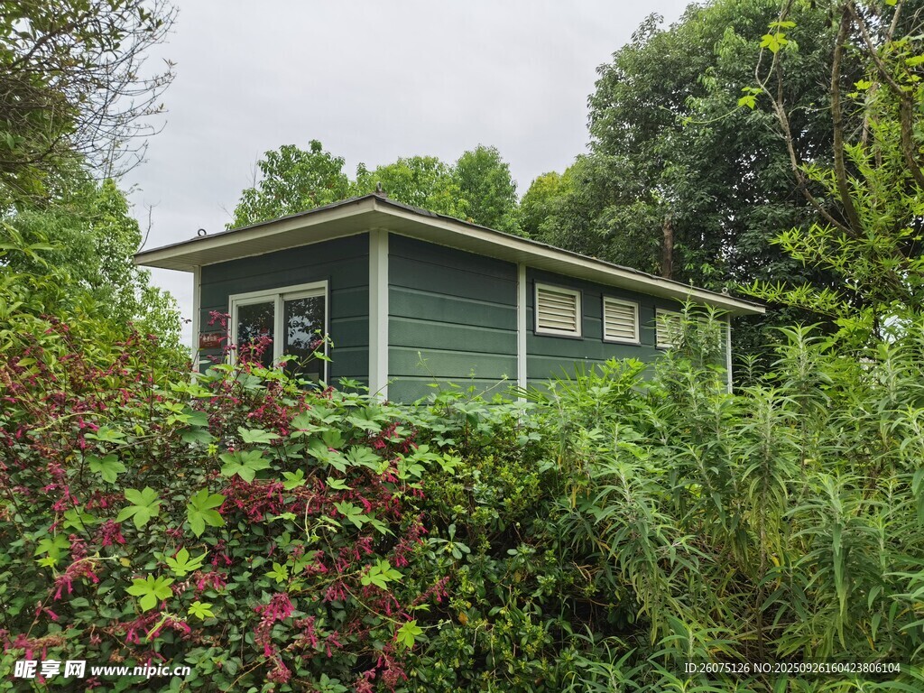 绿植环绕的林间小屋