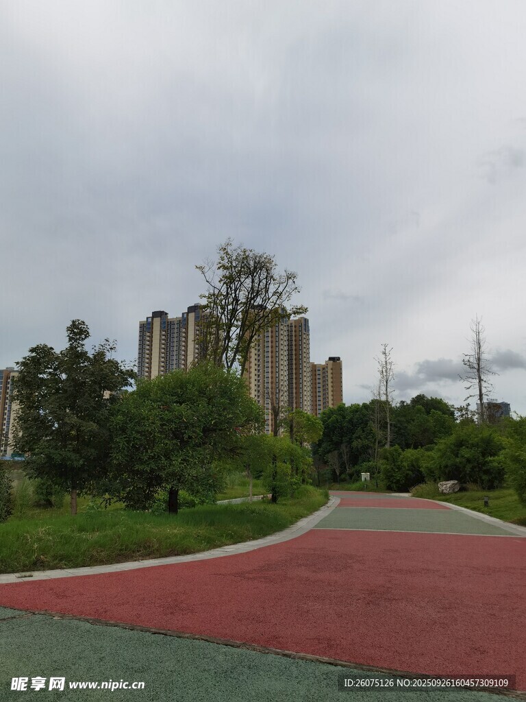 城市公园中的多彩步道