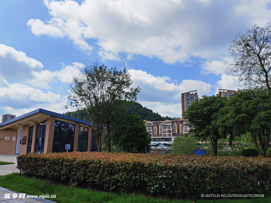 校园风光美景