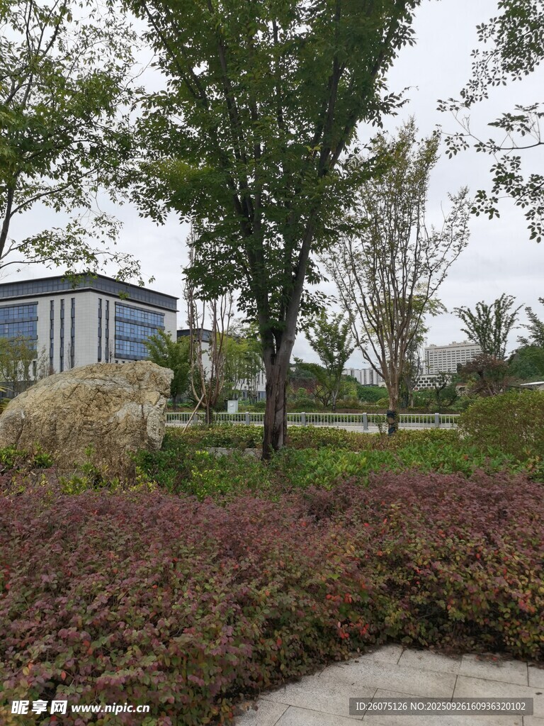 城市公园绿植景观