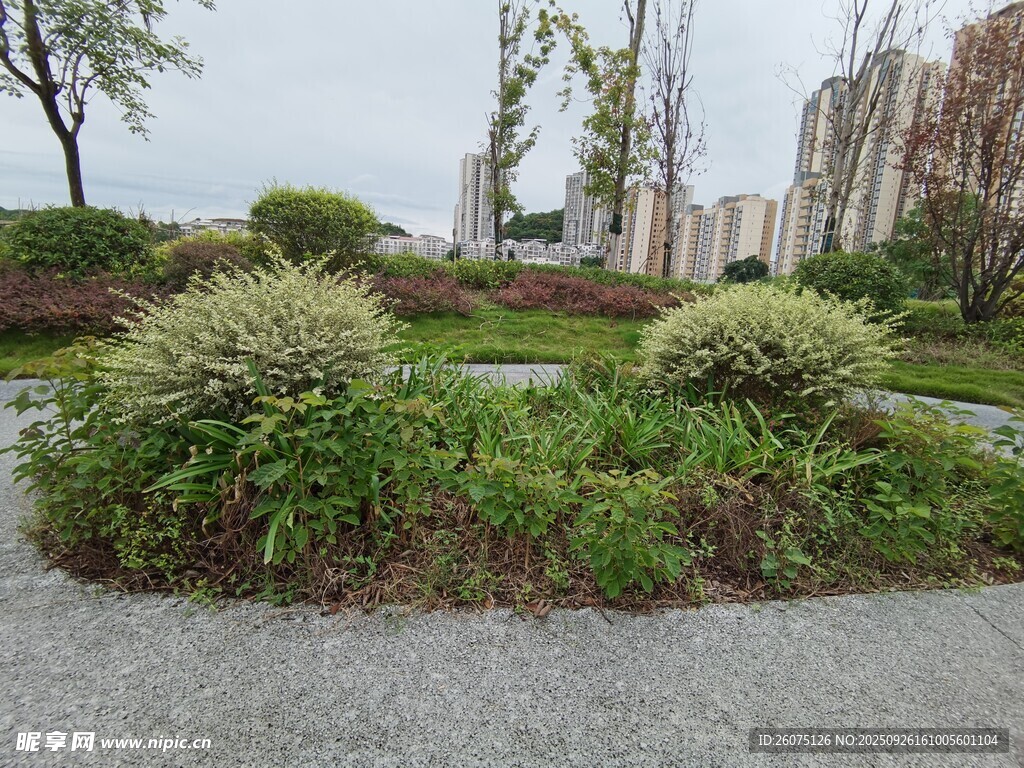城市中的绿植景观角落