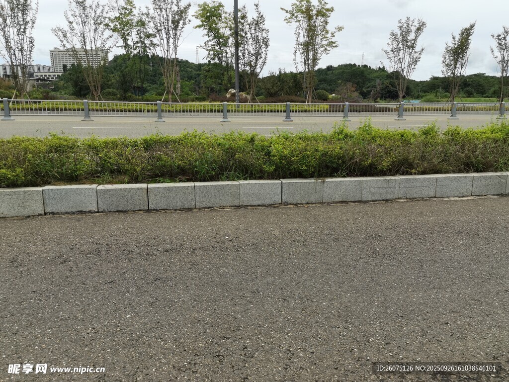 空旷户外道路与绿植景观