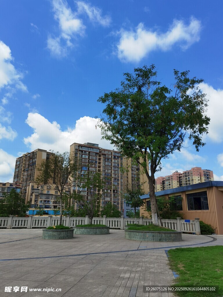 城市住宅区景观