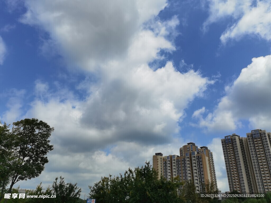 蓝天白云下的城市高楼