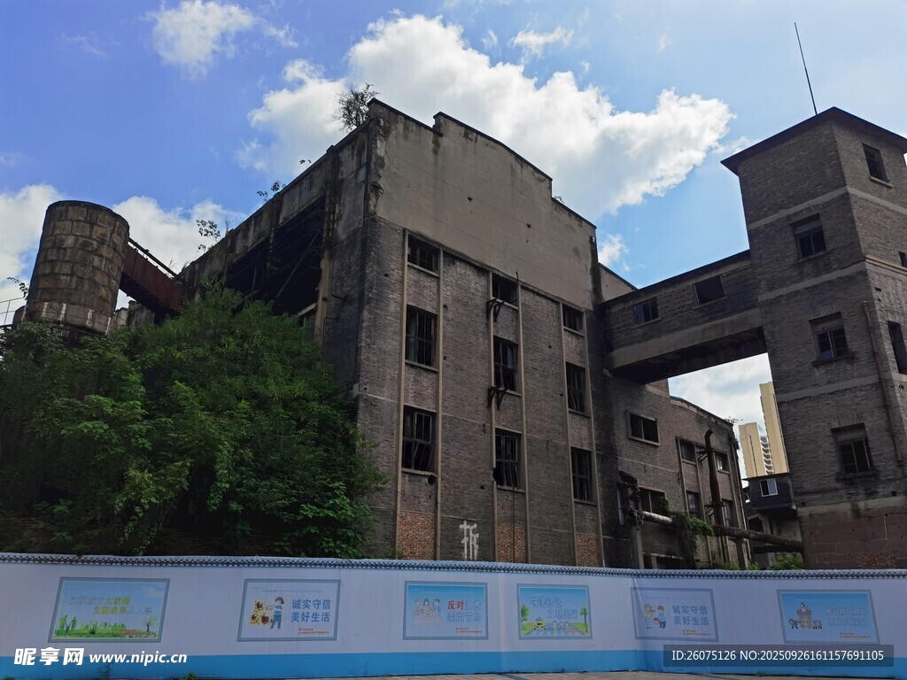 废弃建筑旁的绿植景观
