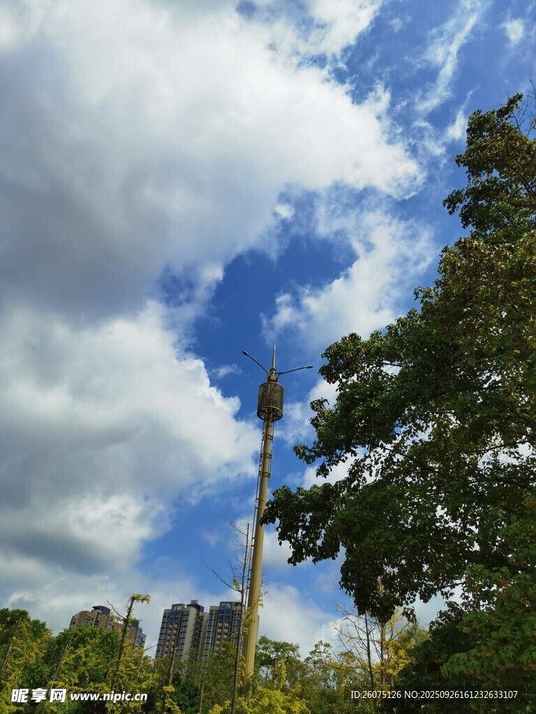蓝天白云下的绿树与高塔